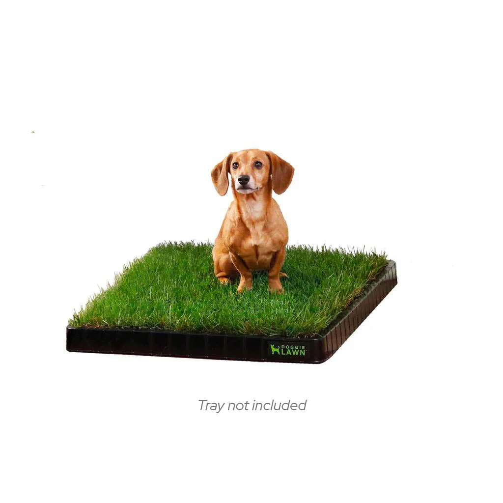 DoggieLawns