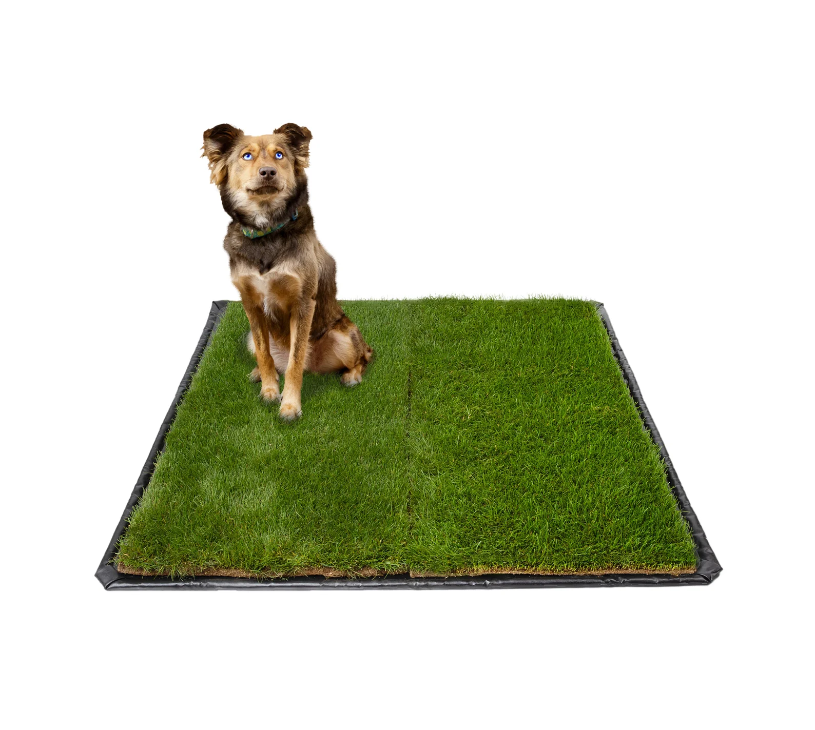 All Lawns